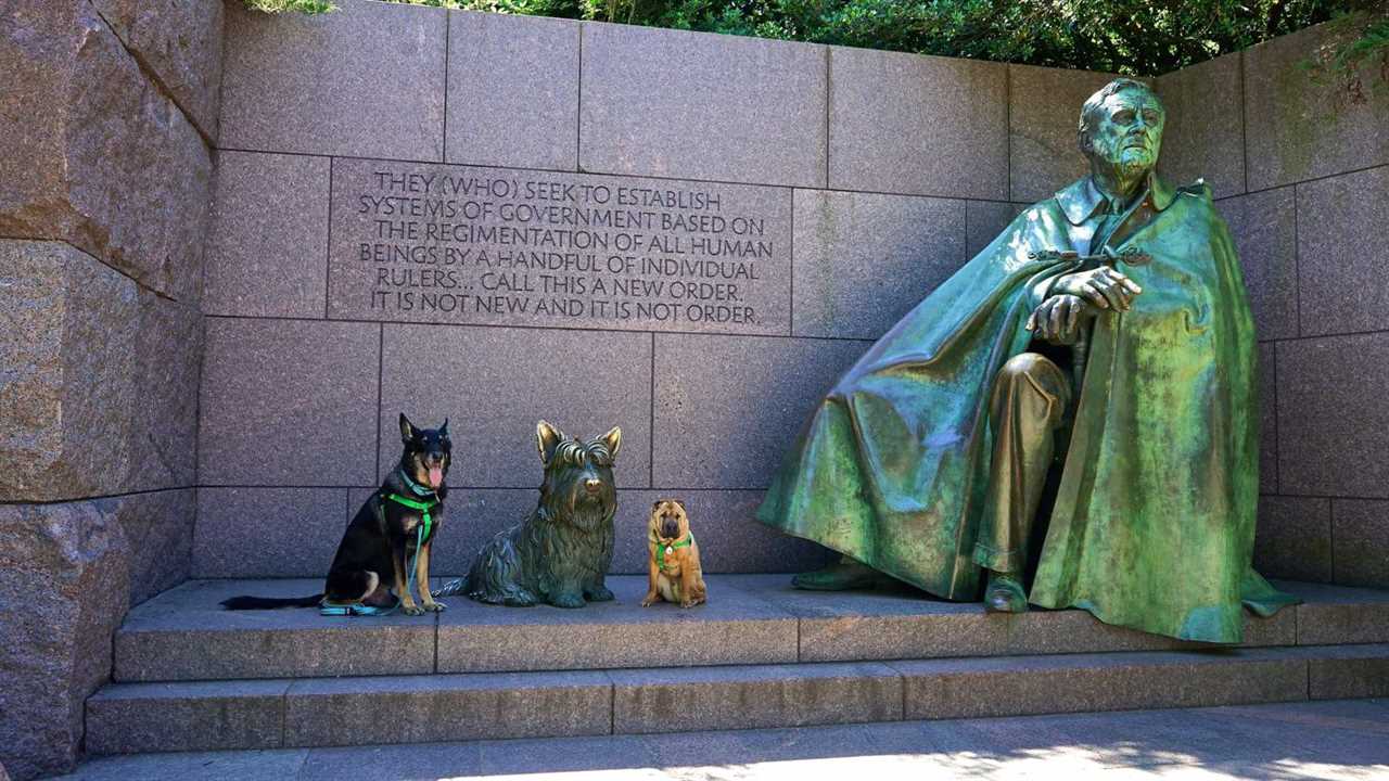 Washington D.C.'s Top Pet Friendly Attractions: The National Mall | GoPetFriendly.com