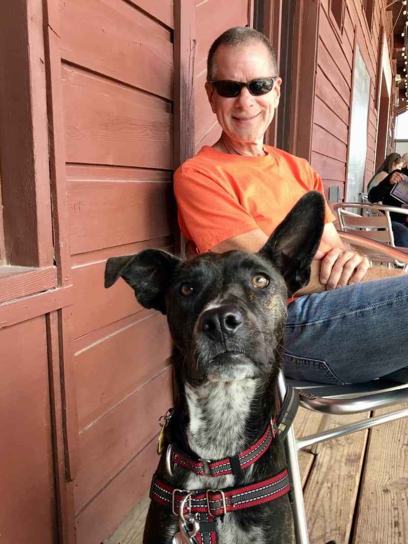 Brindle dog looking at the camera with a man in sunglasses and an orange t-shirt sitting behind him