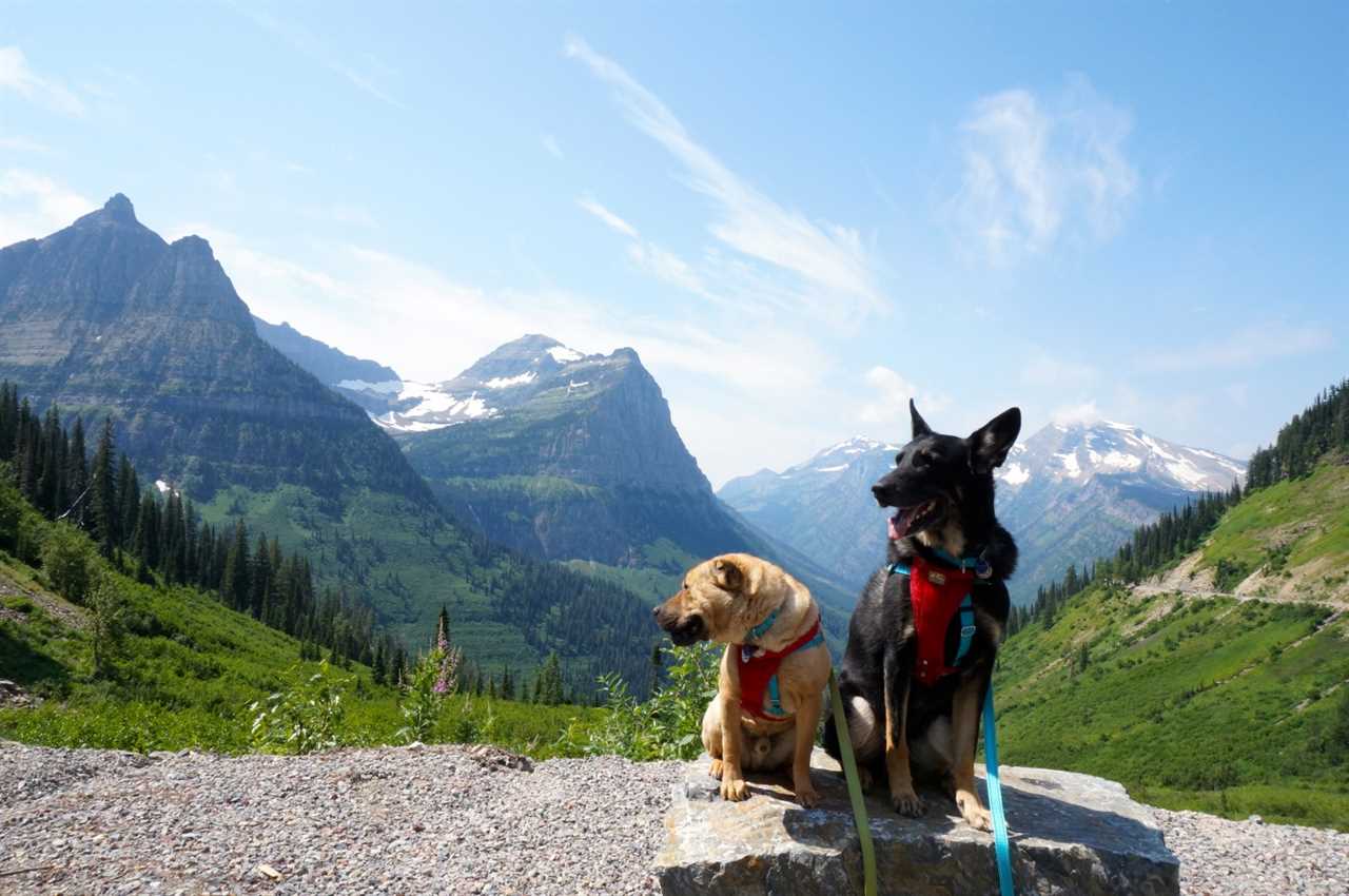 Ty and Buster at Glacier National Park, MT