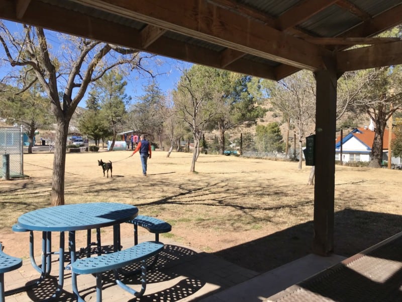 Man walking dog in Higgins Hill Park in Bisbee, AZ