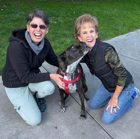 Brindle dog in a red harness kissing a smiling woman in pet friendly Bisbee, AZ