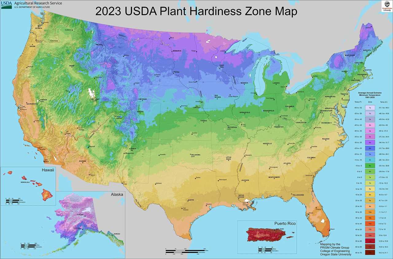 2023 USDA Plant Hardiness Zone Map National