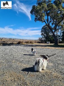 Glengallan Homestead & Heritage Centre