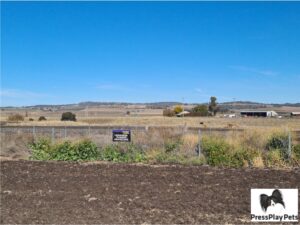 Glengallan Homestead & Heritage Centre