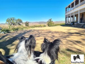 Glengallan Homestead & Heritage Centre