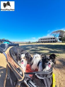 Glengallan Homestead & Heritage Centre