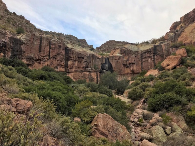 Dog Friendly Hiking Near Phoenix