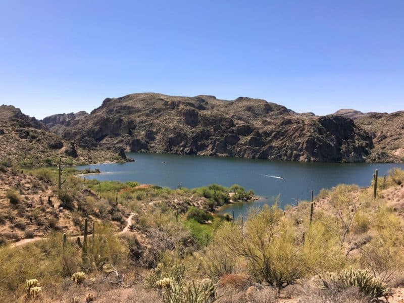 Dog Friendly Hiking Near Phoenix