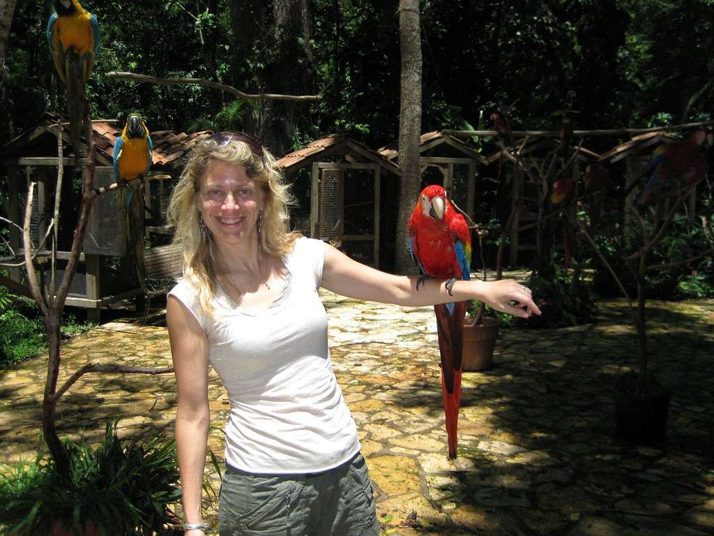 woman holding a macaw in macaw mountain bird honduras