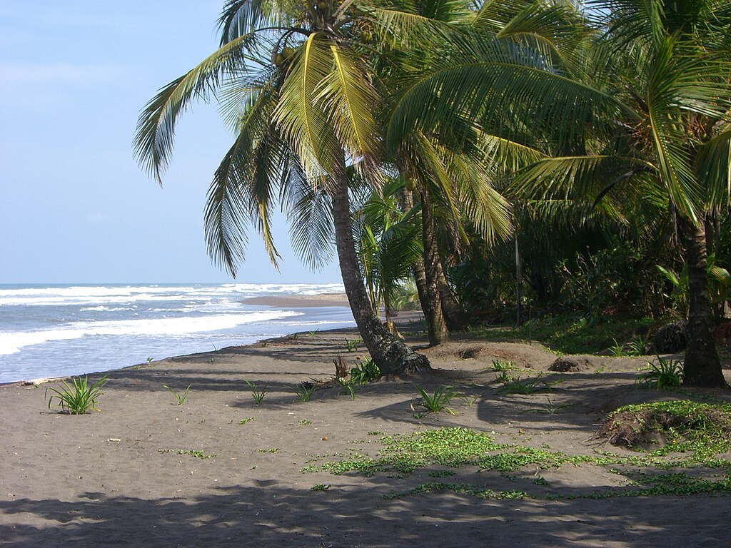 tortuguero beach costa rica