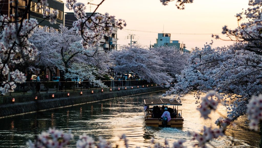 Nippon Nostalgia: Exploring Japan's Soulful Traditions