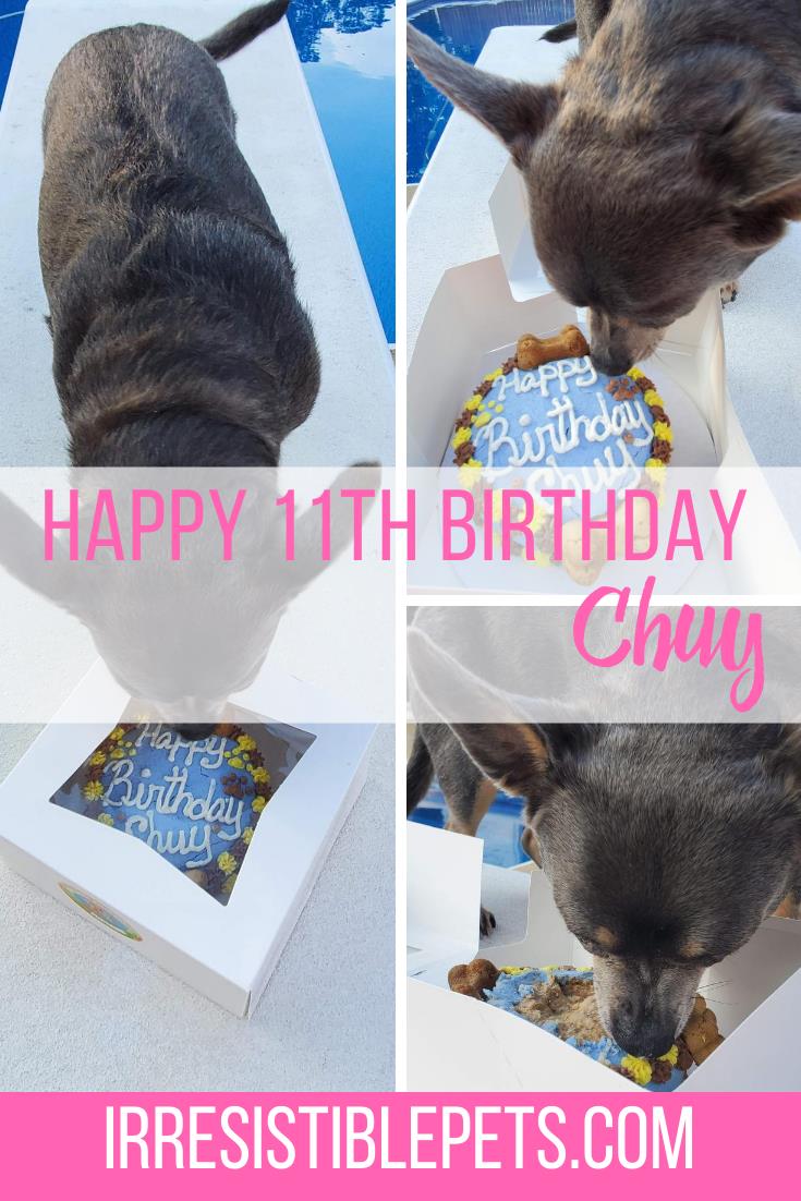 Chuy's 11th birthday