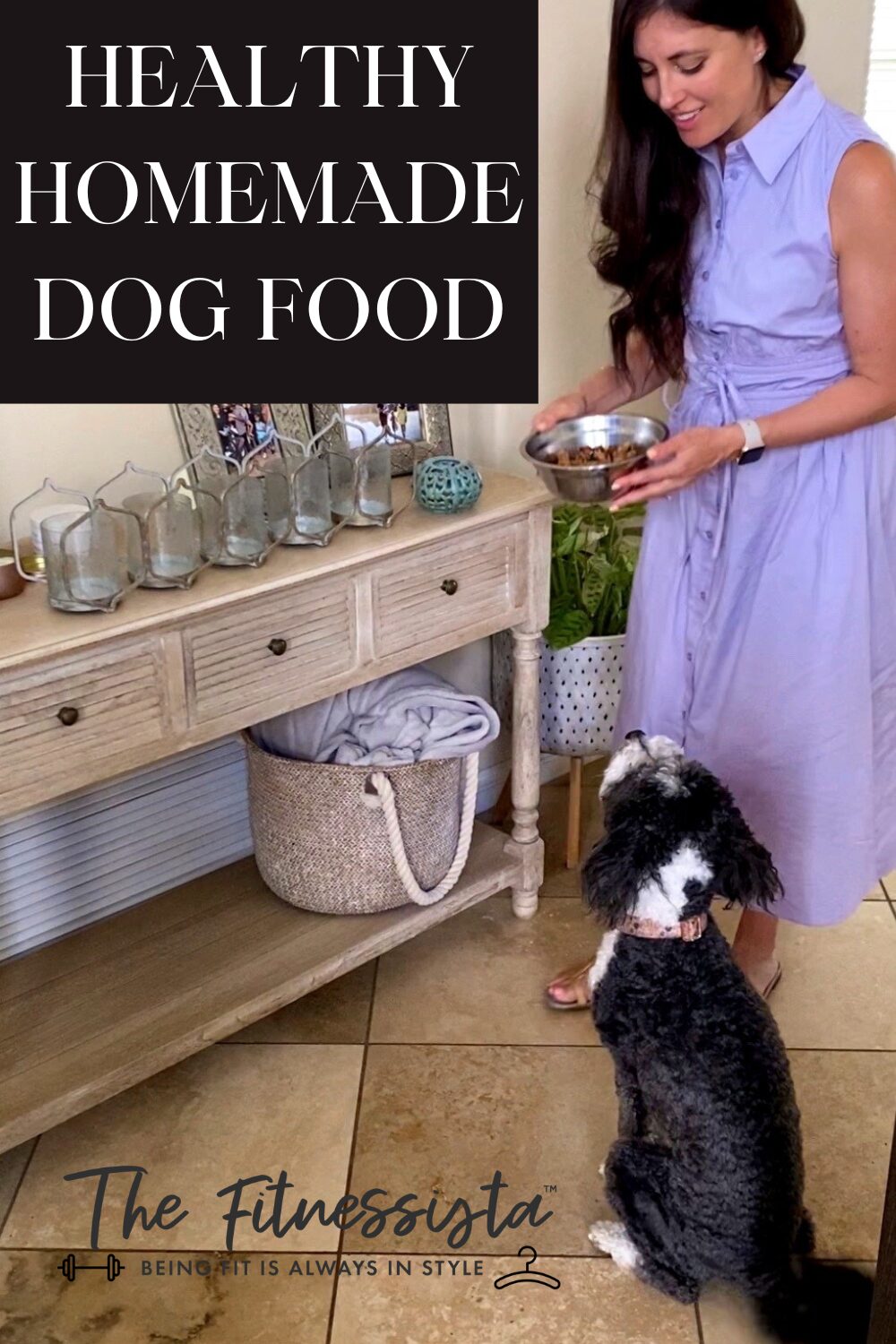 Healthy homemade dog food recipe