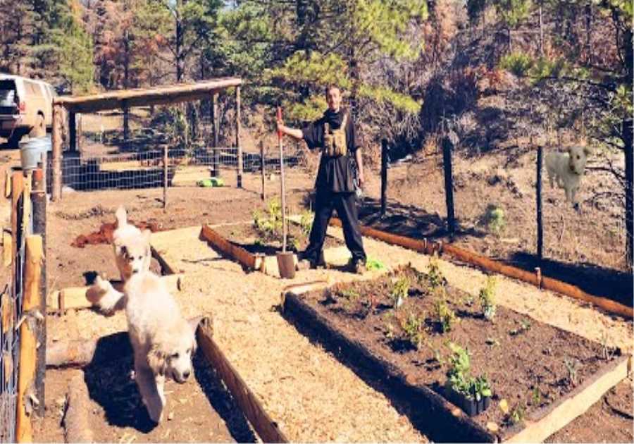 Complete Off-Grid Garden Build in 1 Week | Trying to Survive in “Little Alaska” | Episode 75