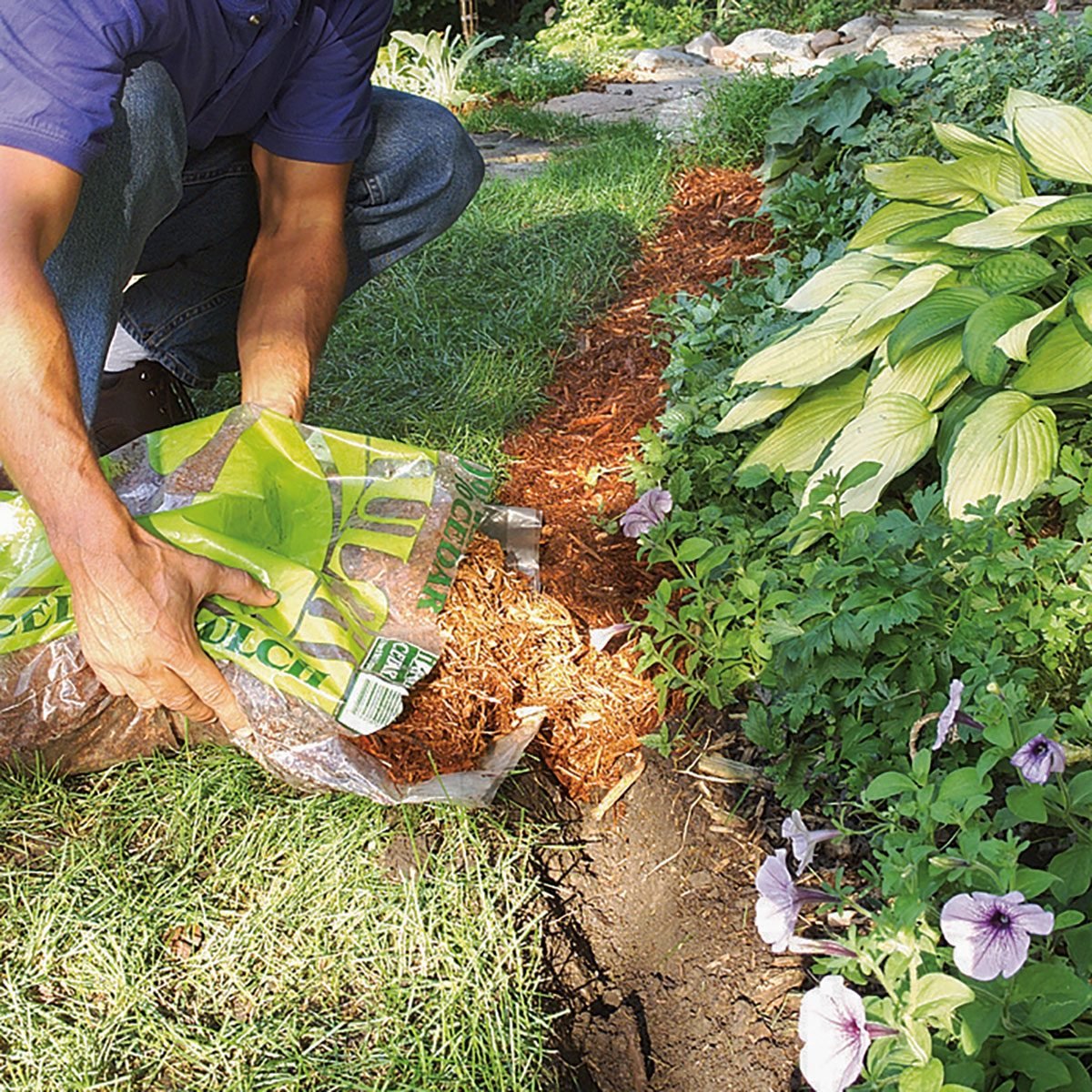 Filling up trench with wooden mulch