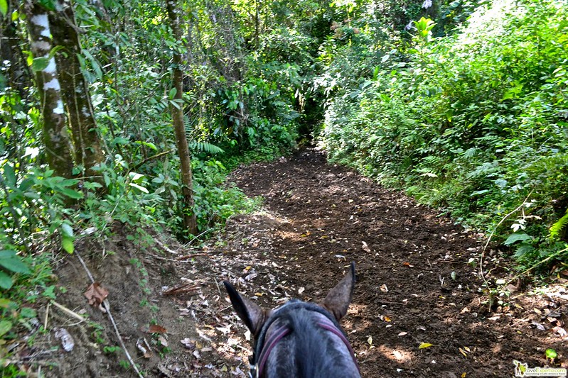 things to do in monteverde horseback riding tour