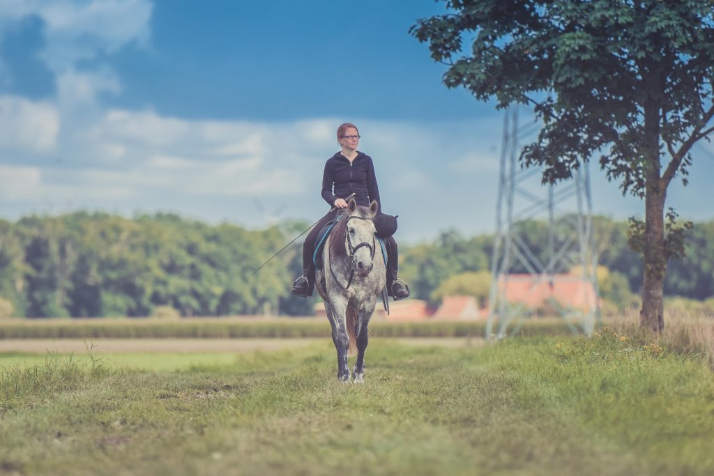 Discover the Magic of Riding Holidays in Ireland