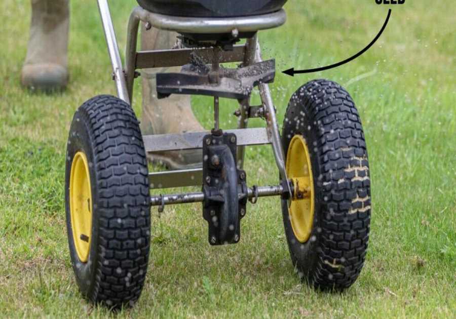 How To Use a Broadcast Spreader the Right Way
